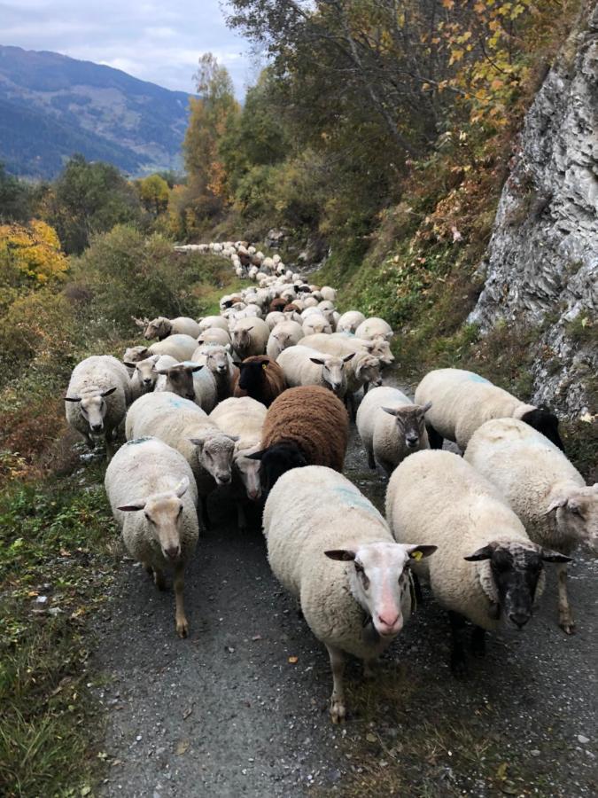 Hotel Grand-Combin Fionnay Esterno foto